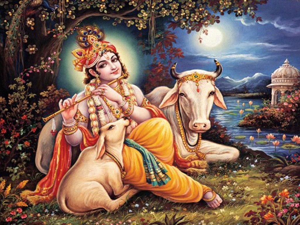 Krishna and Cow Wallpapers Top Free Krishna and Cow Backgrounds
