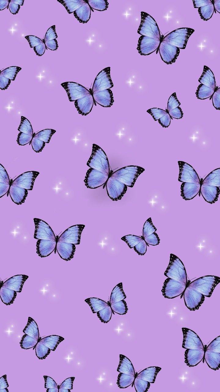 Purple Butterfly iPhone Wallpapers Top Free Purple Butterfly iPhone