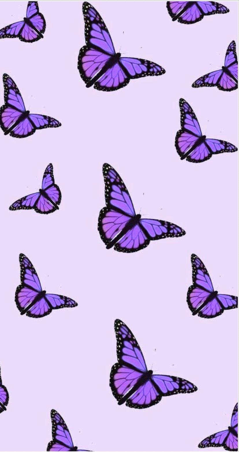 Purple Butterfly iPhone Wallpapers Top Free Purple Butterfly iPhone