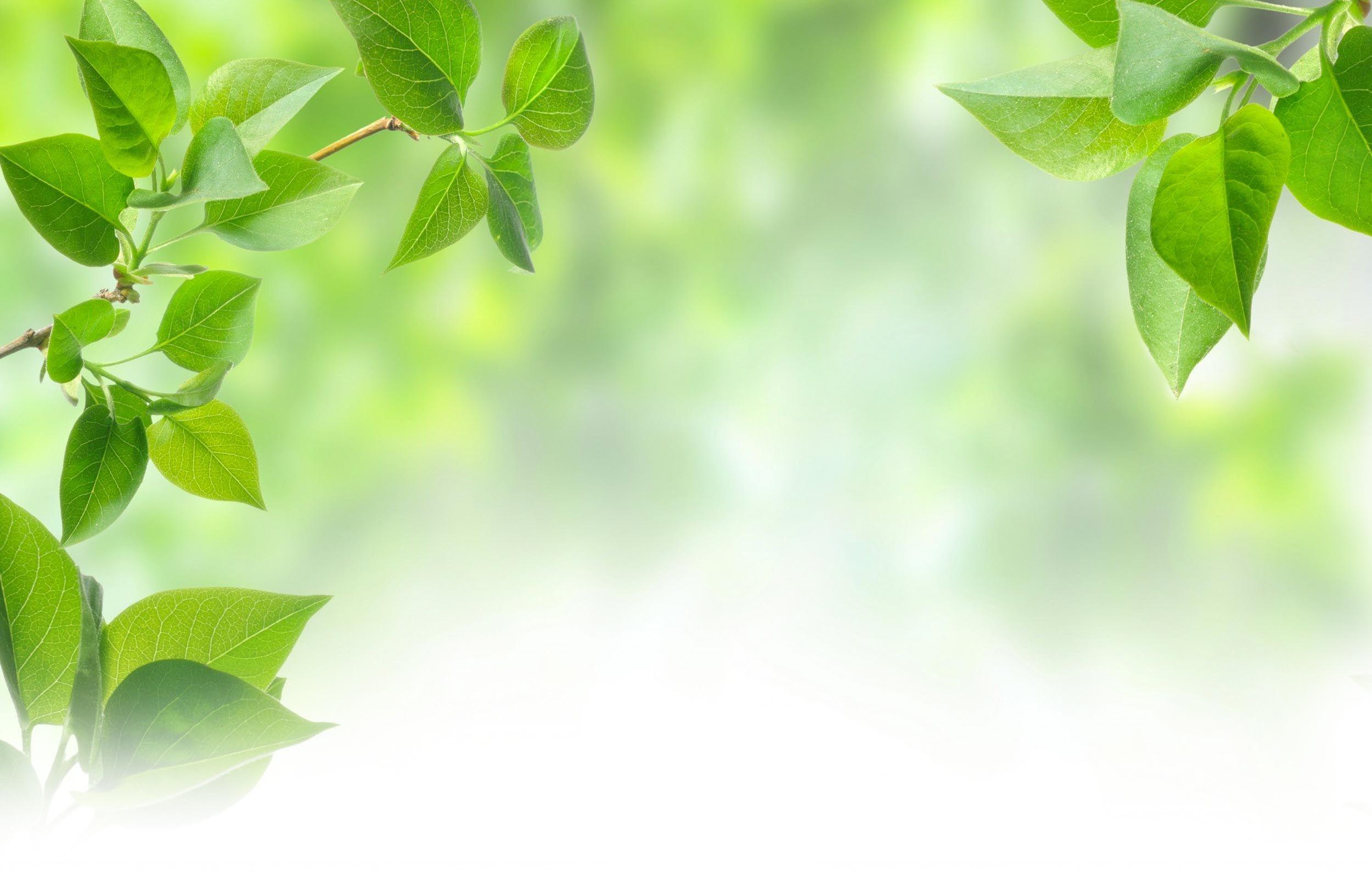 Health Wallpapers Top Free Health Backgrounds WallpaperAccess