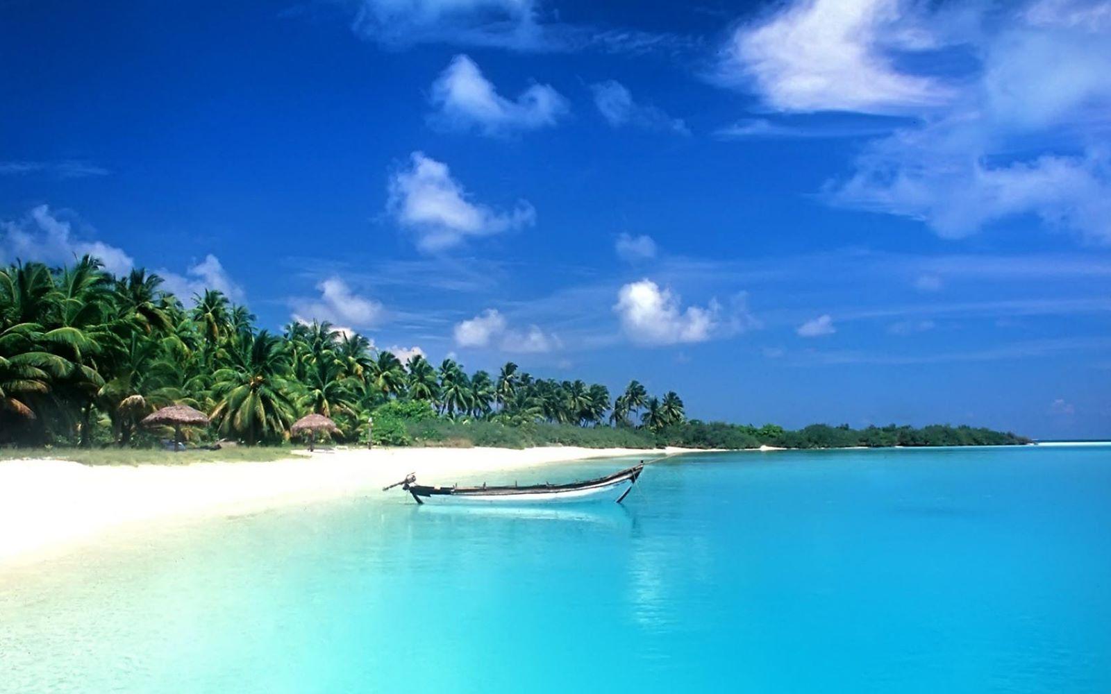 Goa Beach Wallpapers Top Free Goa Beach Backgrounds WallpaperAccess