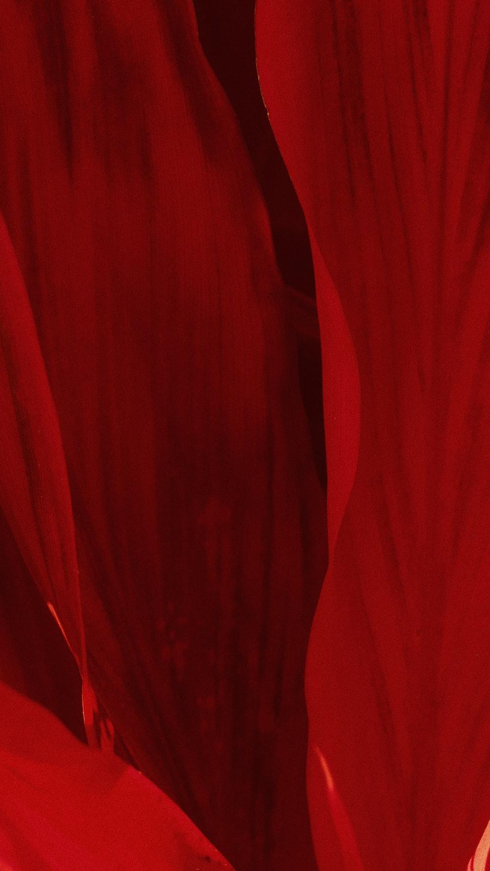 Dark Red Plain Wallpapers Top Free Dark Red Plain Backgrounds