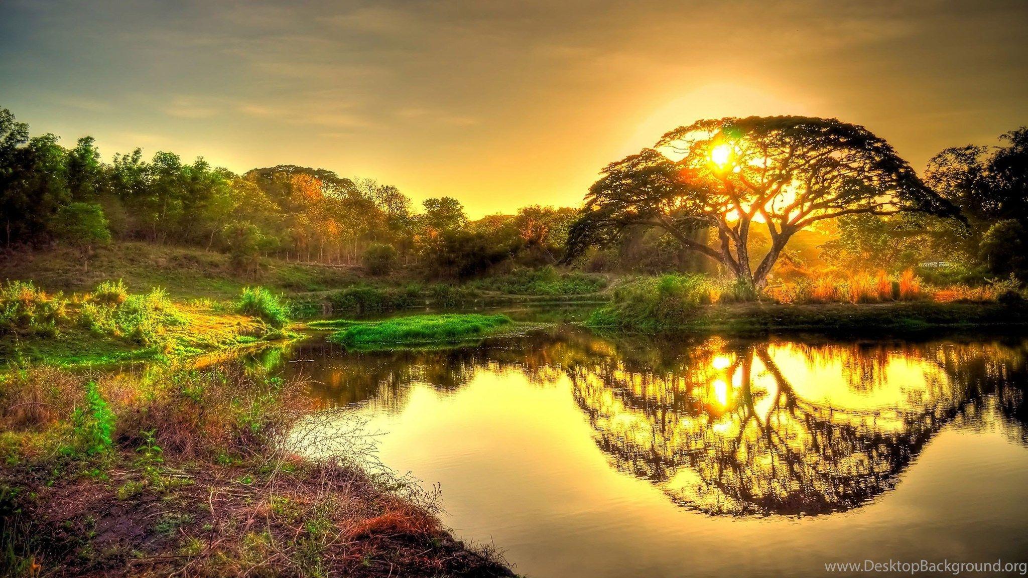 Ponds Dual Screen Wallpapers Top Free Ponds Dual Screen Backgrounds