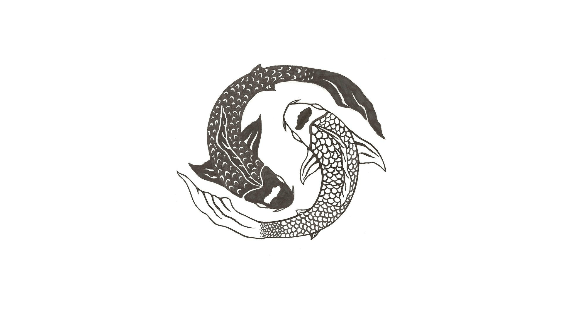 Black Koi Wallpapers Top Free Black Koi Backgrounds WallpaperAccess