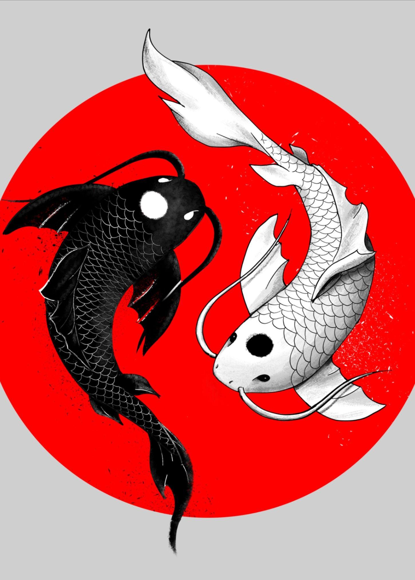 Black Koi Wallpapers Top Free Black Koi Backgrounds WallpaperAccess