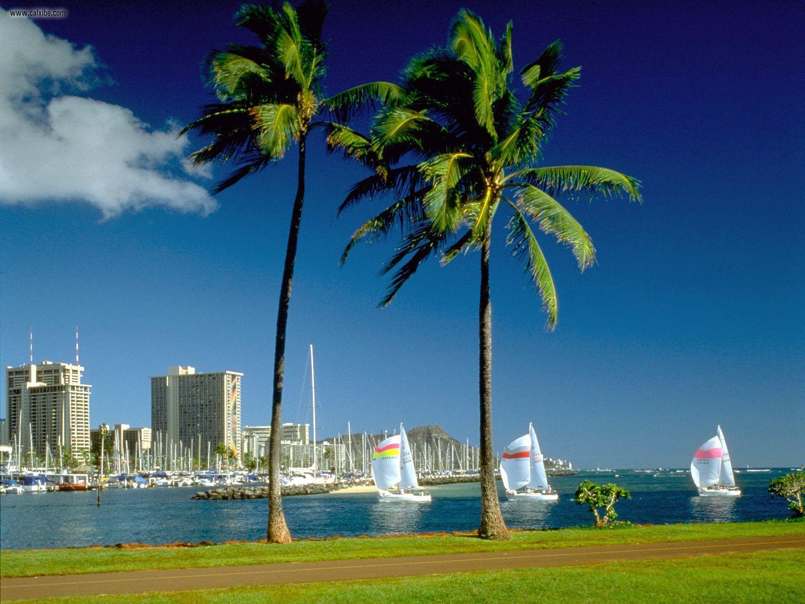 Honolulu Hawaii Wallpapers Top Free Honolulu Hawaii Backgrounds WallpaperAccess