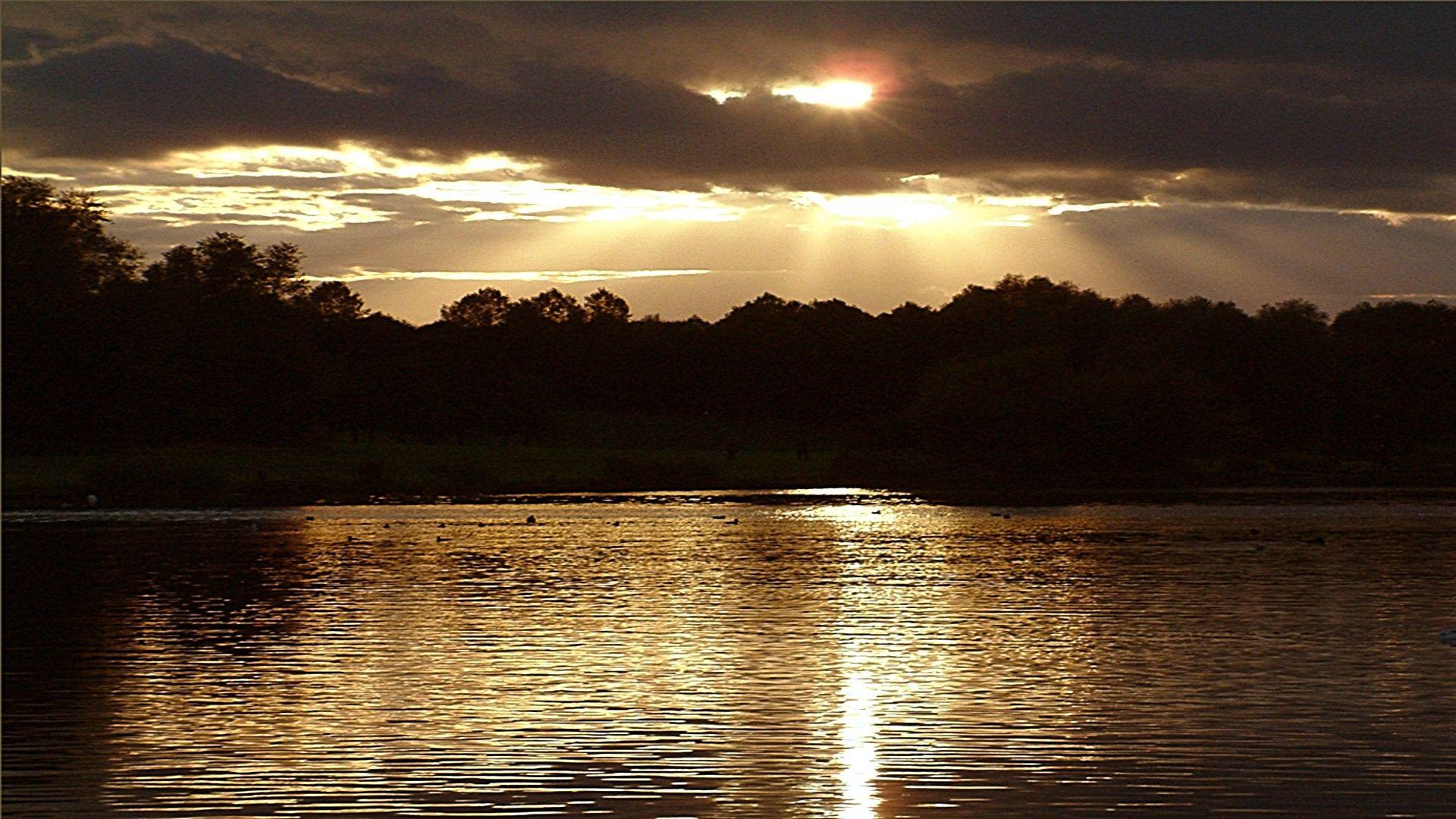 Liquid Gold HD Wallpapers Top Free Liquid Gold HD Backgrounds