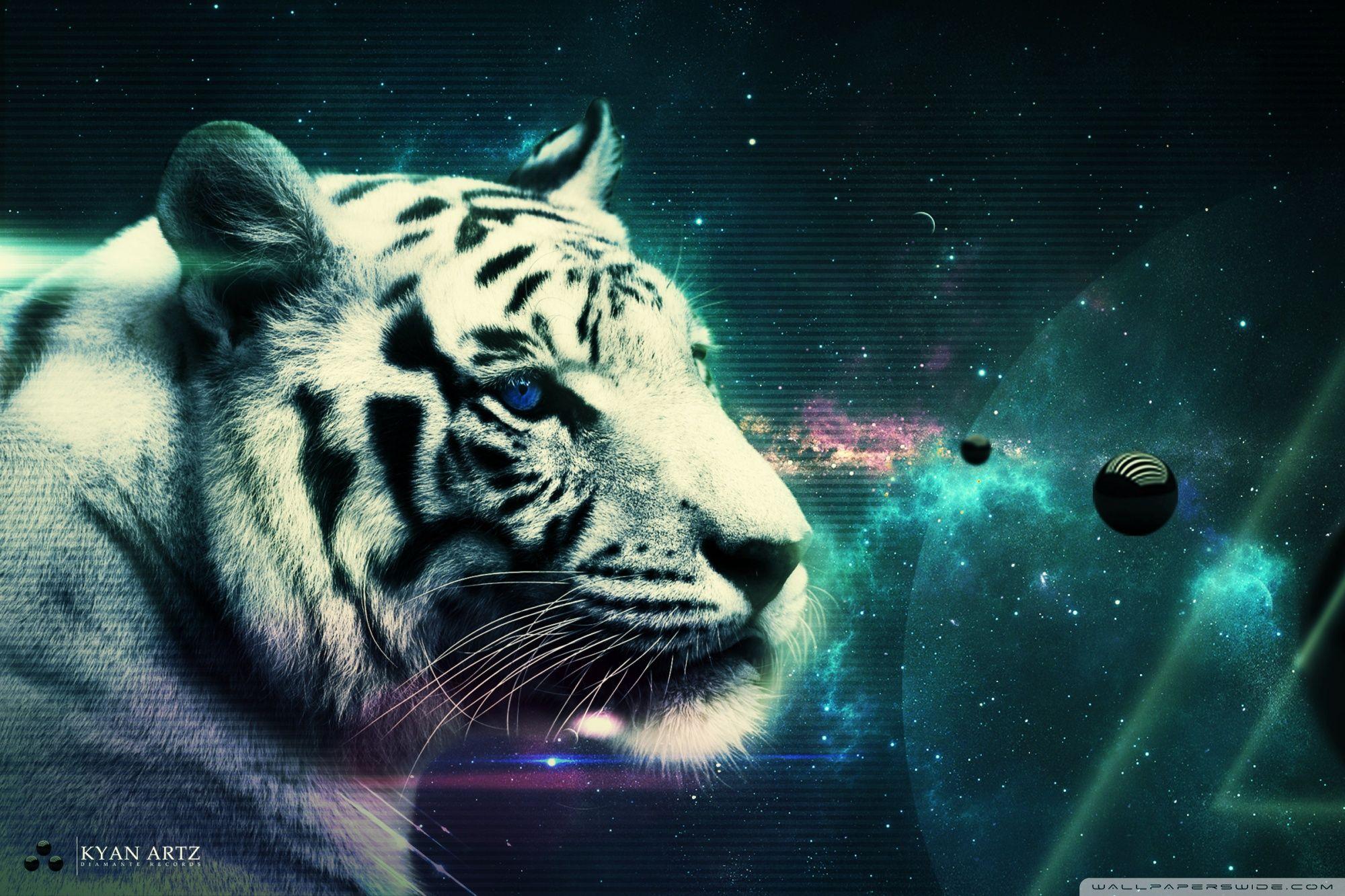 Tiger Galaxy Wallpapers Top Free Tiger Galaxy Backgrounds