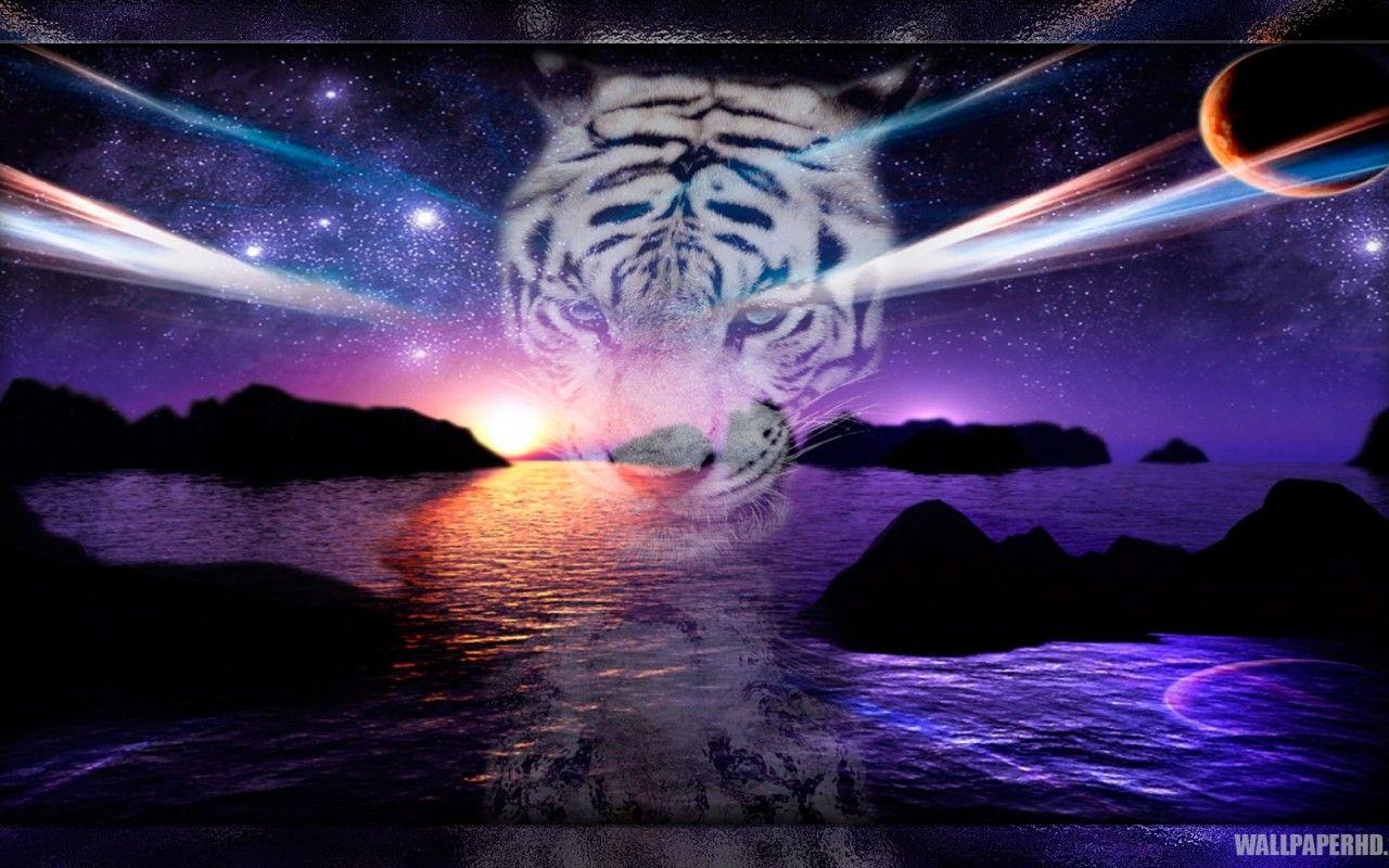 Tiger Galaxy Wallpapers Top Free Tiger Galaxy Backgrounds WallpaperAccess