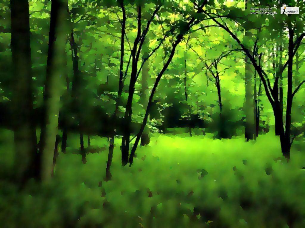 Dark Green Jungle Wallpapers Top Free Dark Green Jungle Backgrounds WallpaperAccess