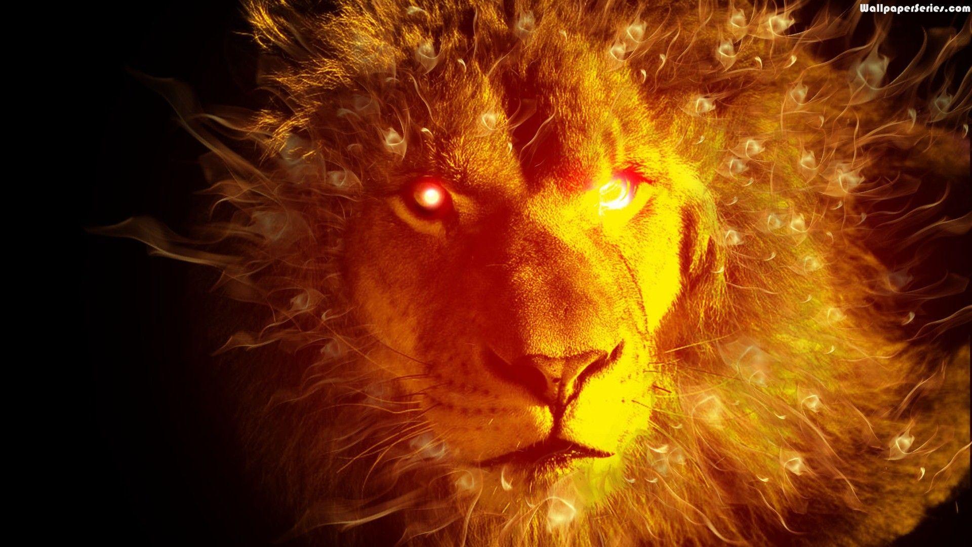 Fire Lion Wallpapers Top Free Fire Lion Backgrounds WallpaperAccess