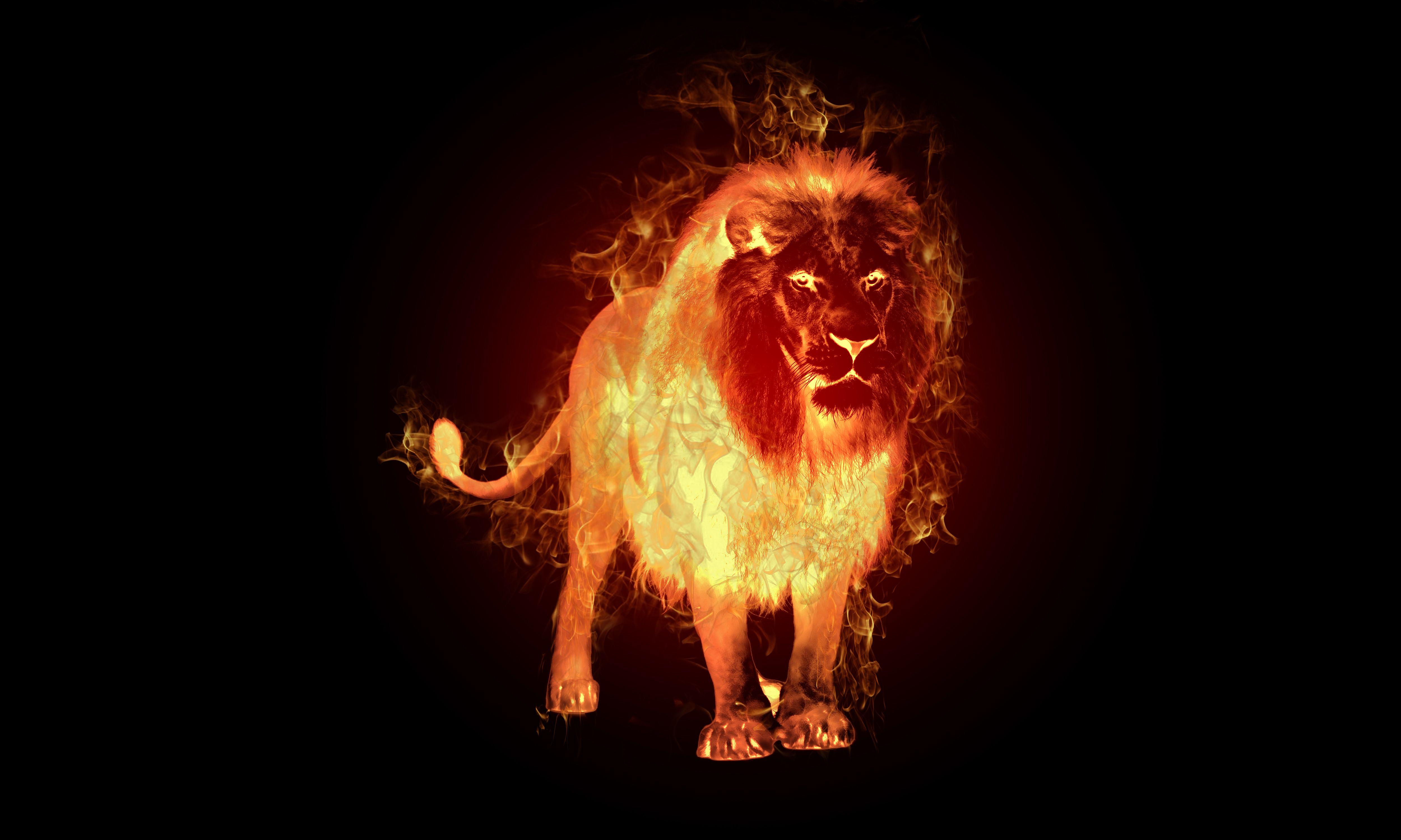 Fire Lion Wallpapers Top Free Fire Lion Backgrounds WallpaperAccess