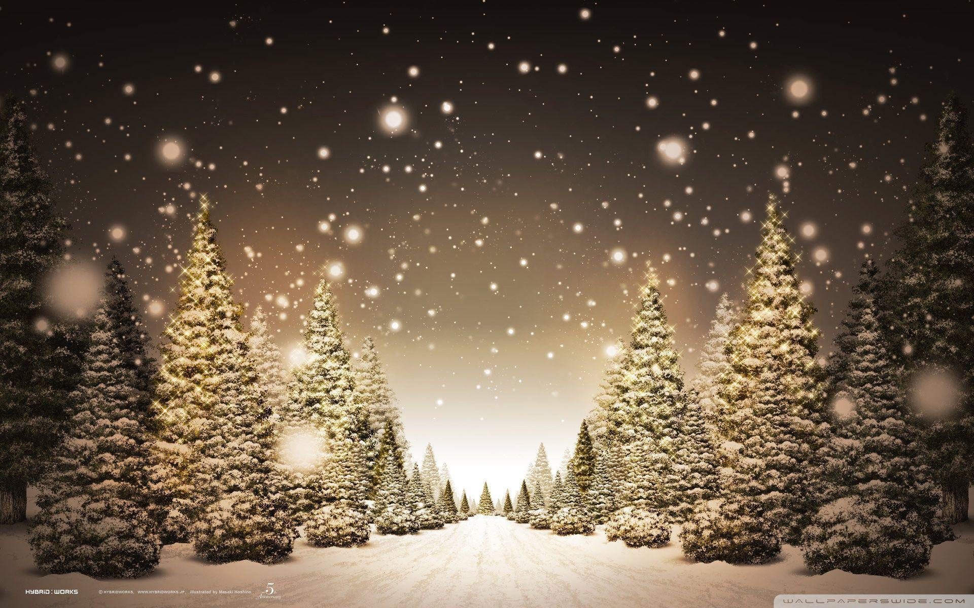 Christmas Forest Wallpapers Top Free Christmas Forest Backgrounds WallpaperAccess