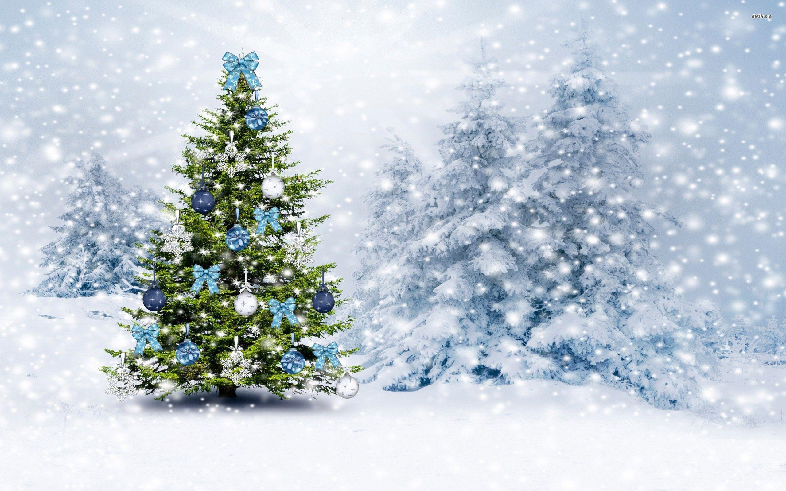 Christmas Forest Wallpapers Top Free Christmas Forest Backgrounds WallpaperAccess