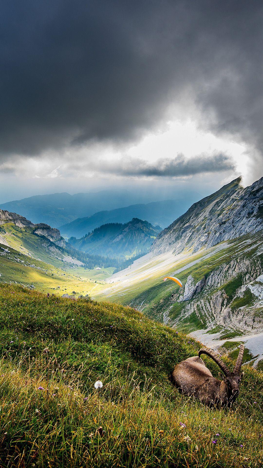 Nature Vertical Wallpapers - Top Free Nature Vertical Backgrounds -  Wallpaperaccess