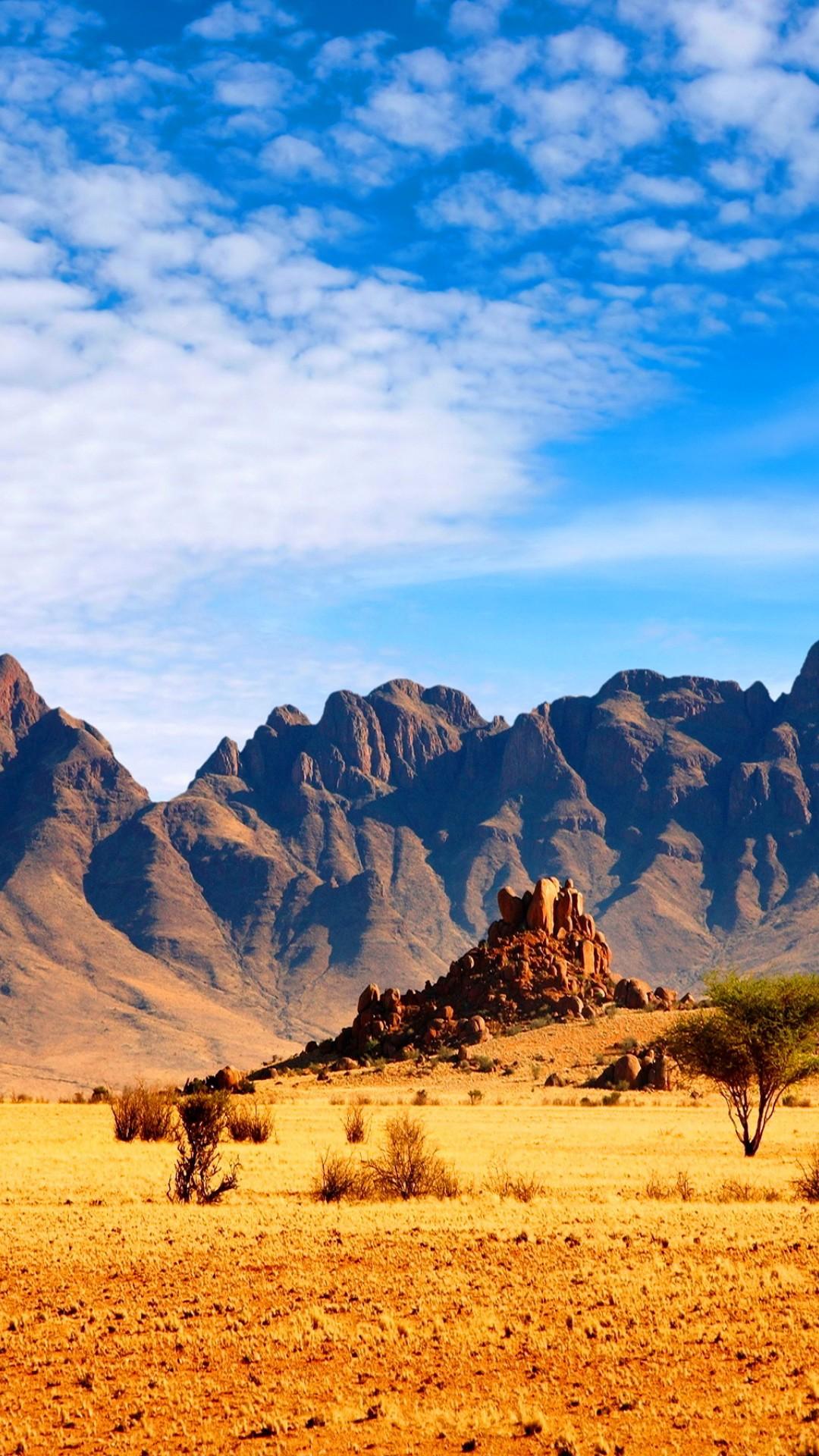 African Savanna Wallpapers Top Free African Savanna Backgrounds