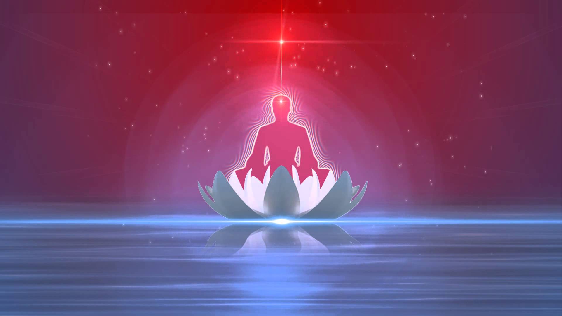 Yoga Lotus Wallpapers Top Free Yoga Lotus Backgrounds WallpaperAccess