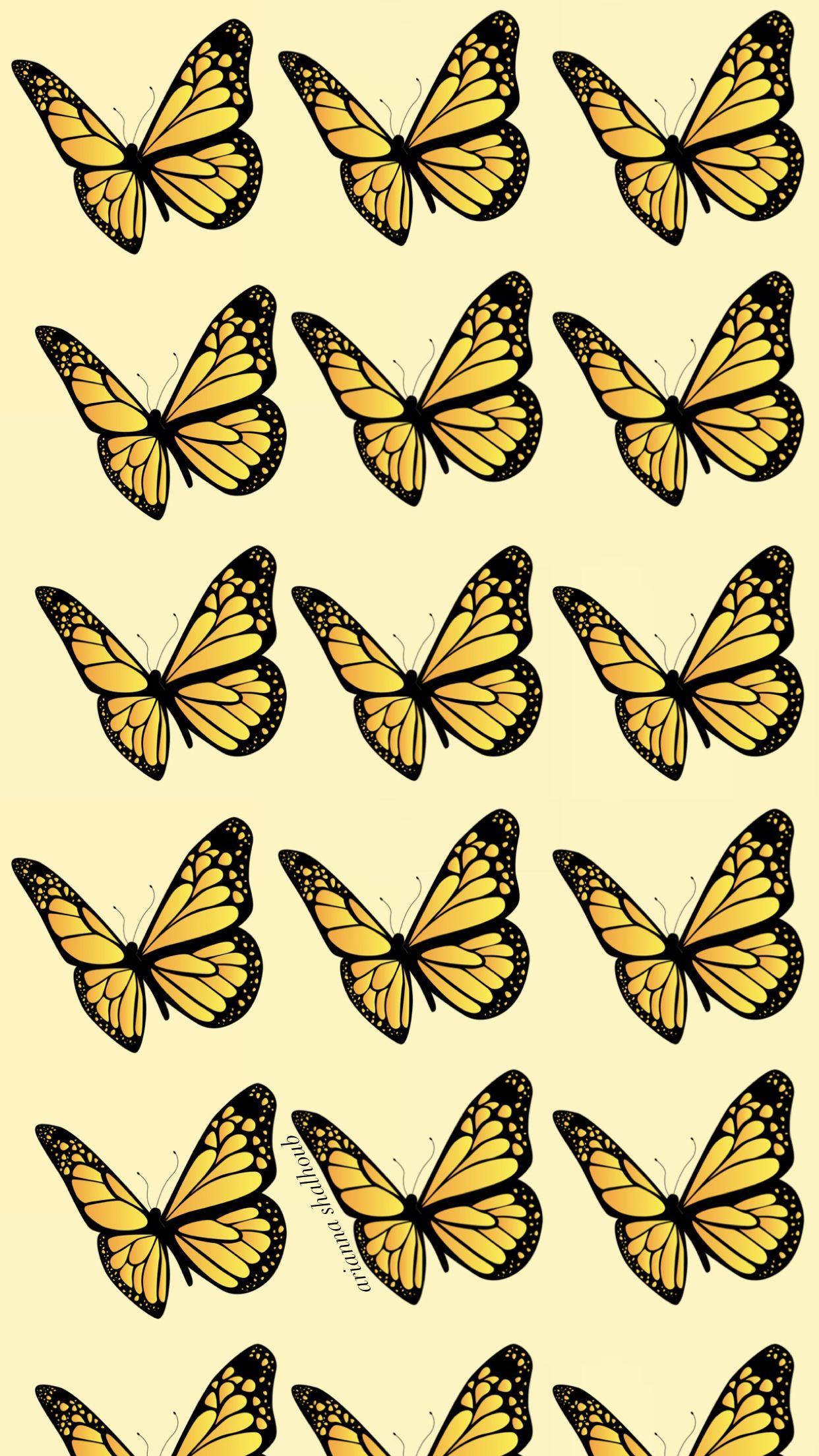 Yellow Butterflies iPhone Wallpapers Top Free Yellow Butterflies