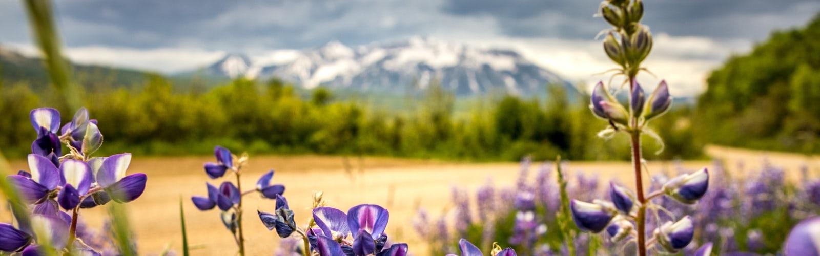 Spring Church Wallpapers Top Free Spring Church Backgrounds