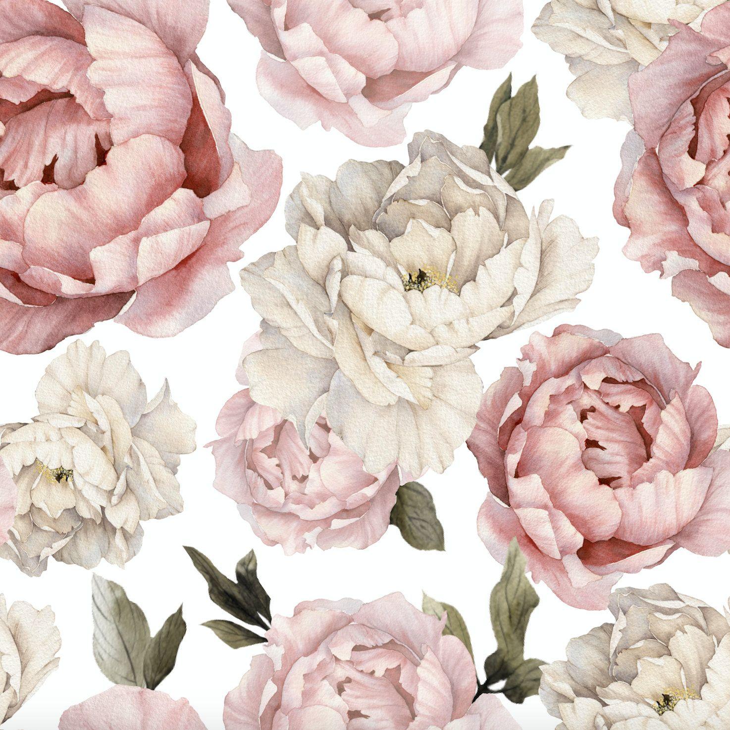 Peonies iPhone Wallpapers Top Free Peonies iPhone Backgrounds