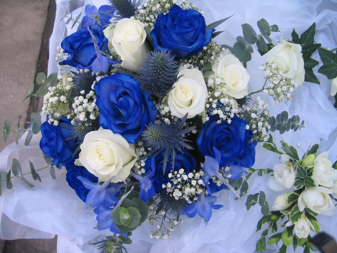 Royal Blue Flowers HD Wallpapers Top Free Royal Blue Flowers HD