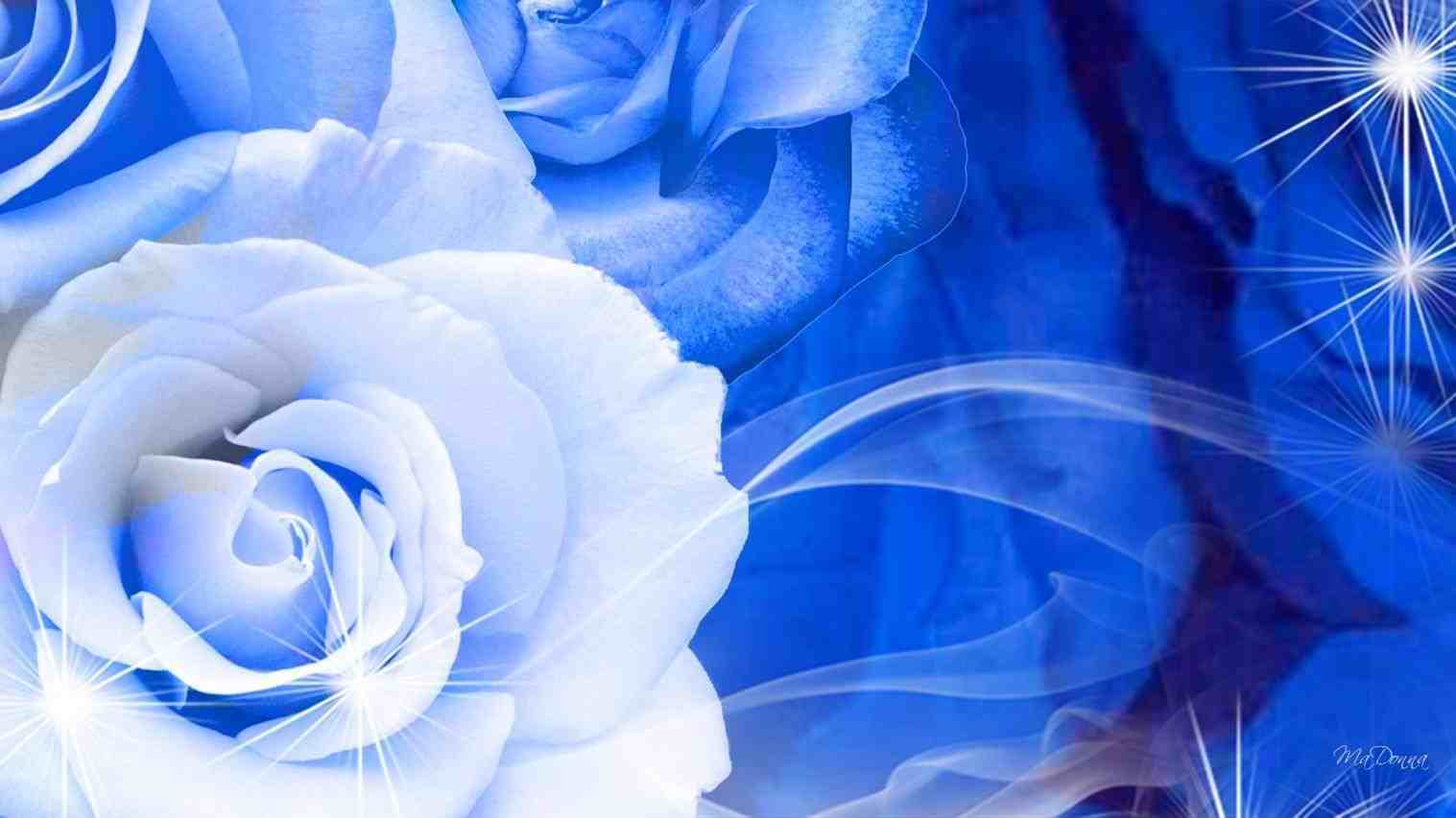 Royal Blue Flowers HD Wallpapers Top Free Royal Blue Flowers HD