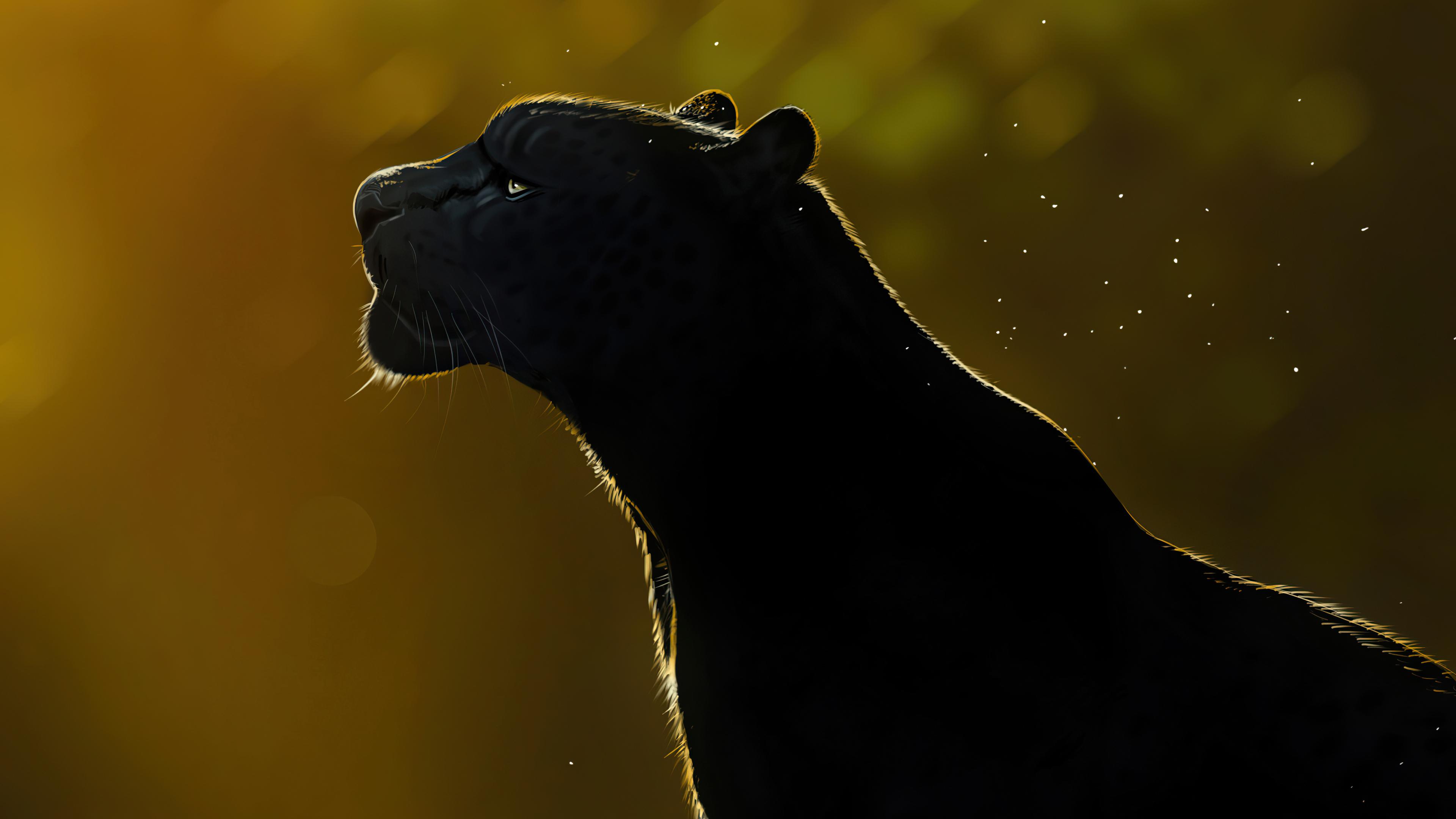 Panther 4K Wallpapers Top Free Panther 4K Backgrounds WallpaperAccess