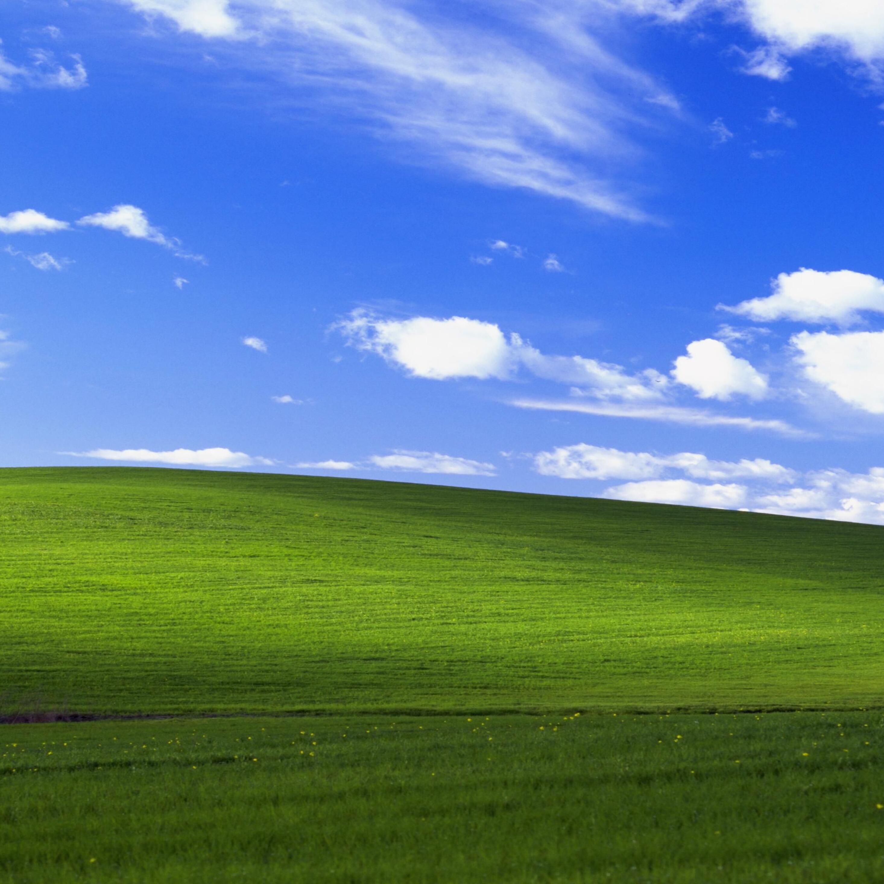 Windows XP Grass Wallpapers Top Free Windows XP Grass Backgrounds