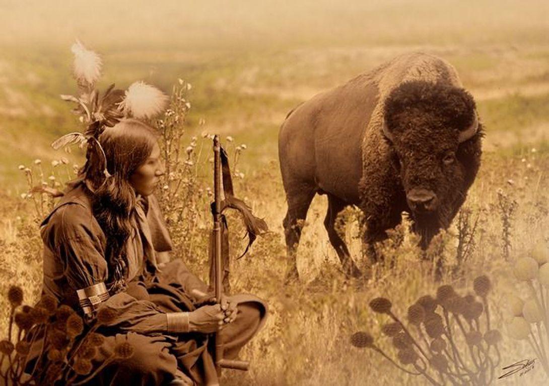 Native American Bison Wallpapers Top Free Native American Bison