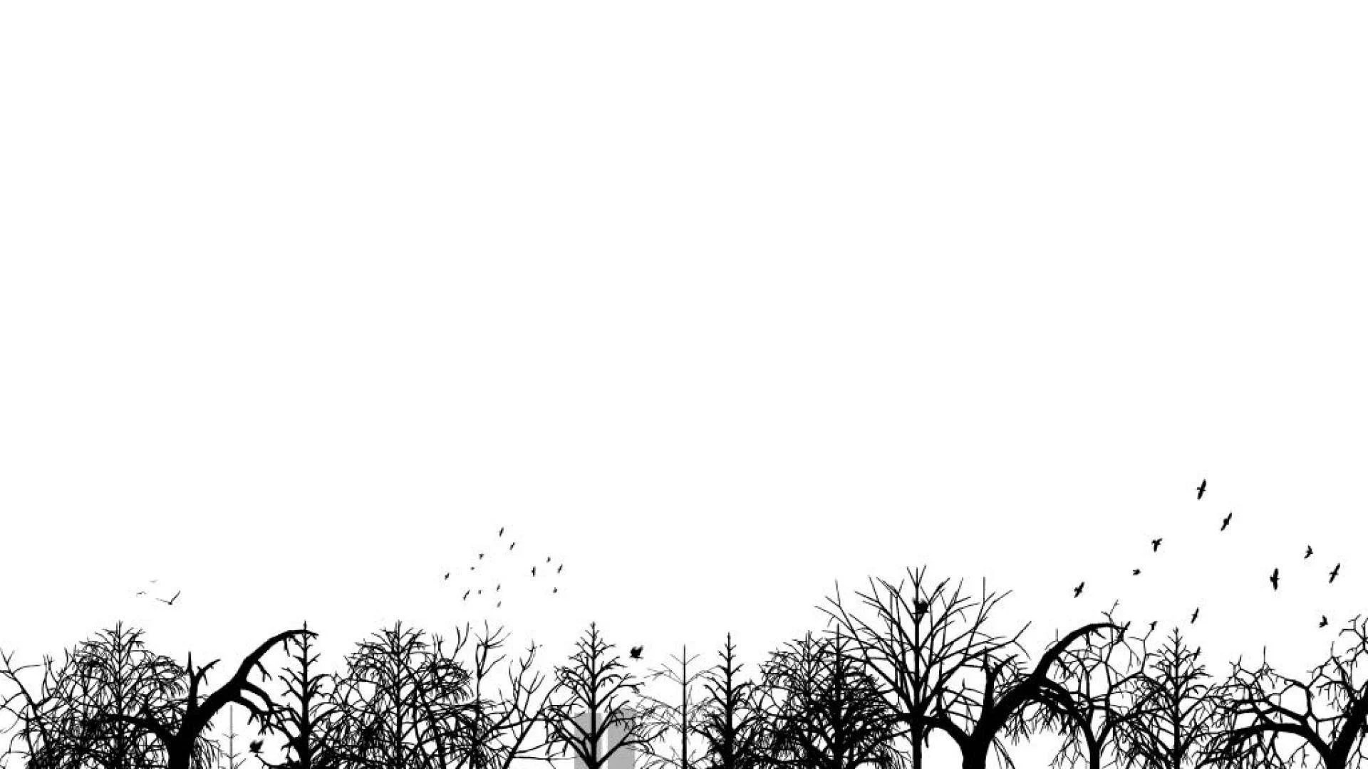 Soft White Aesthetic Wallpapers Top Free Soft White Aesthetic Backgrounds WallpaperAccess