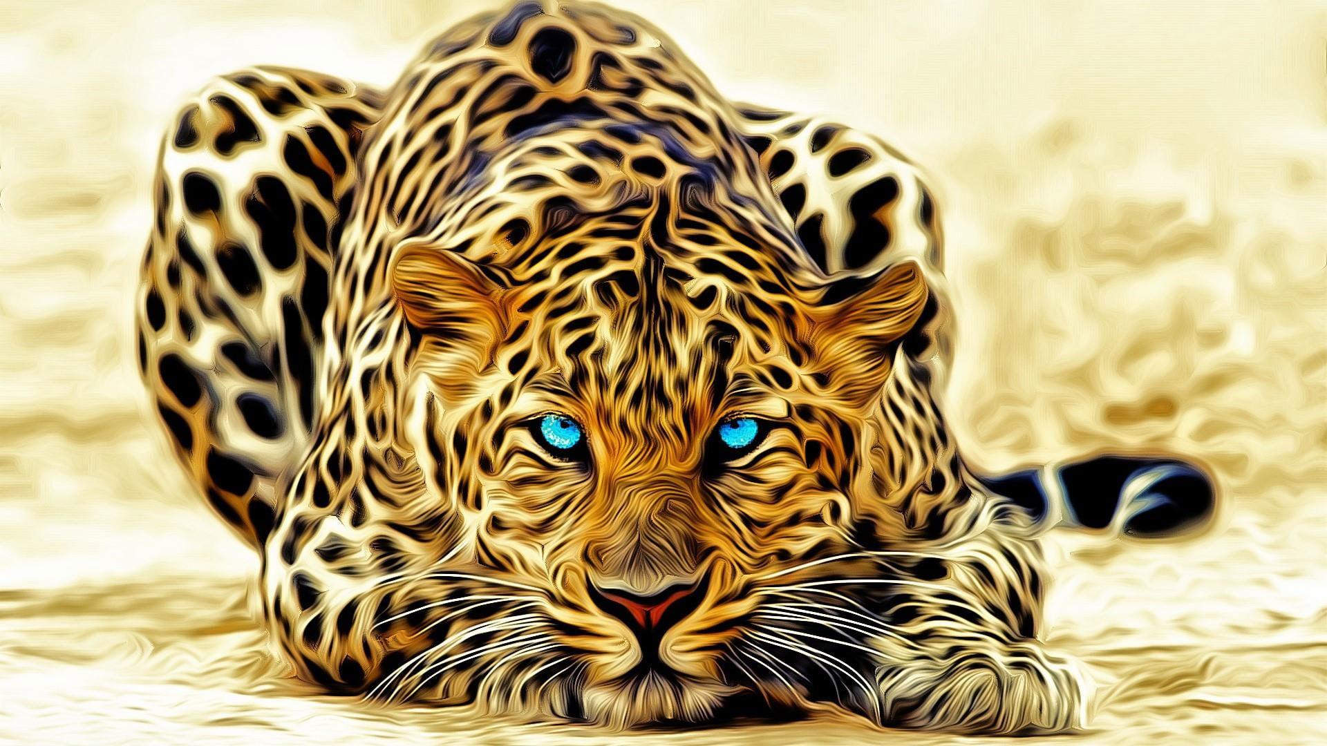 Animal Drawings Wallpapers Top Free Animal Drawings Backgrounds