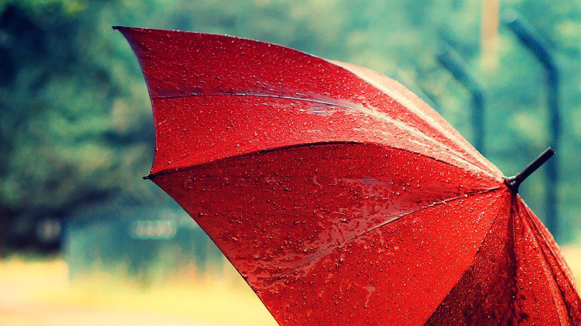 Umbrella Desktop Wallpapers Top Free Umbrella Desktop Backgrounds