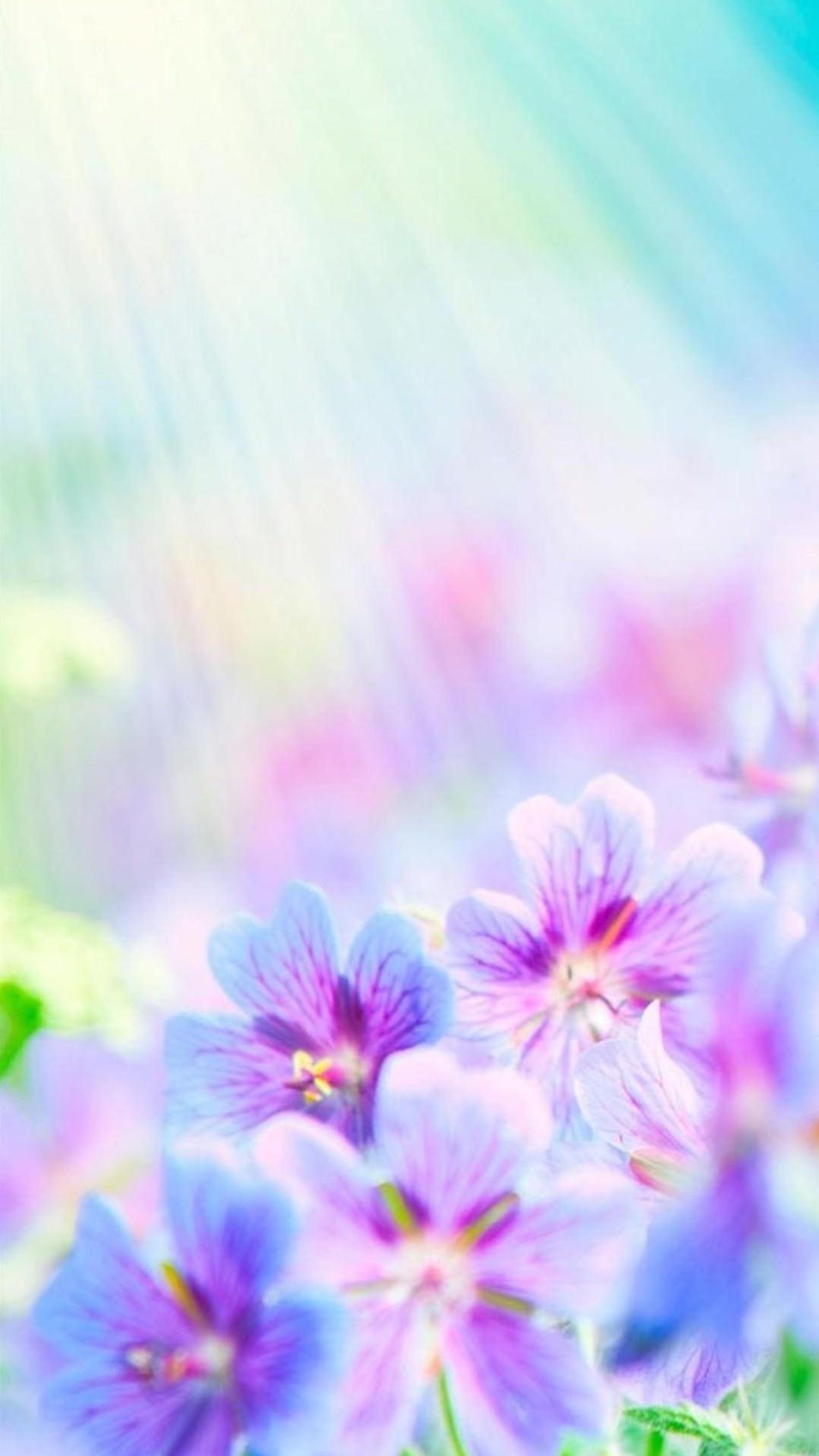 Flower Wallpaper For Android Phone Best Flower Site