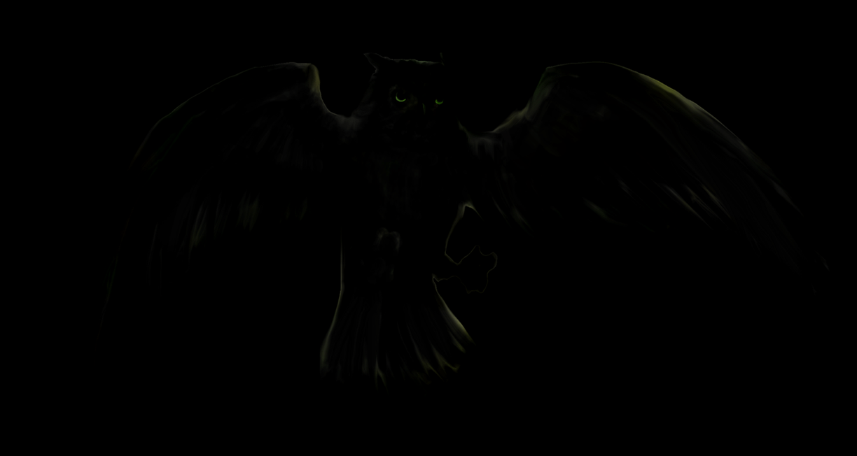 Black and White Owl Wallpapers Top Free Black and White Owl