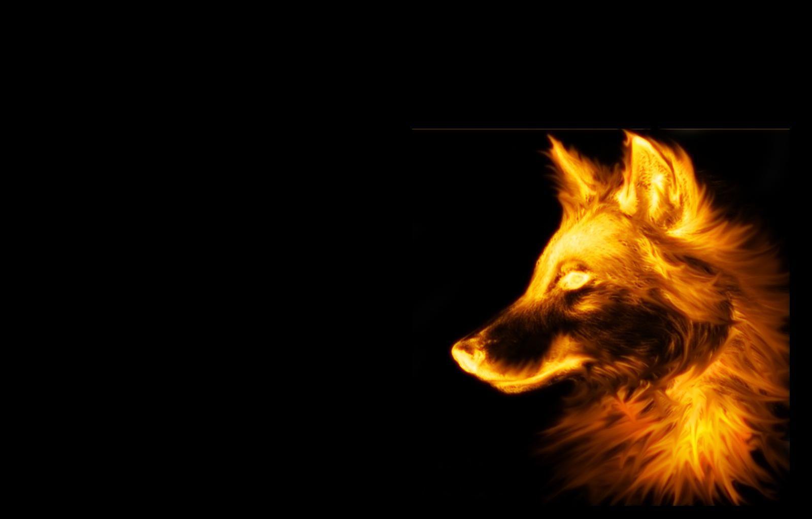 Fox and Wolf Wallpapers Top Free Fox and Wolf Backgrounds