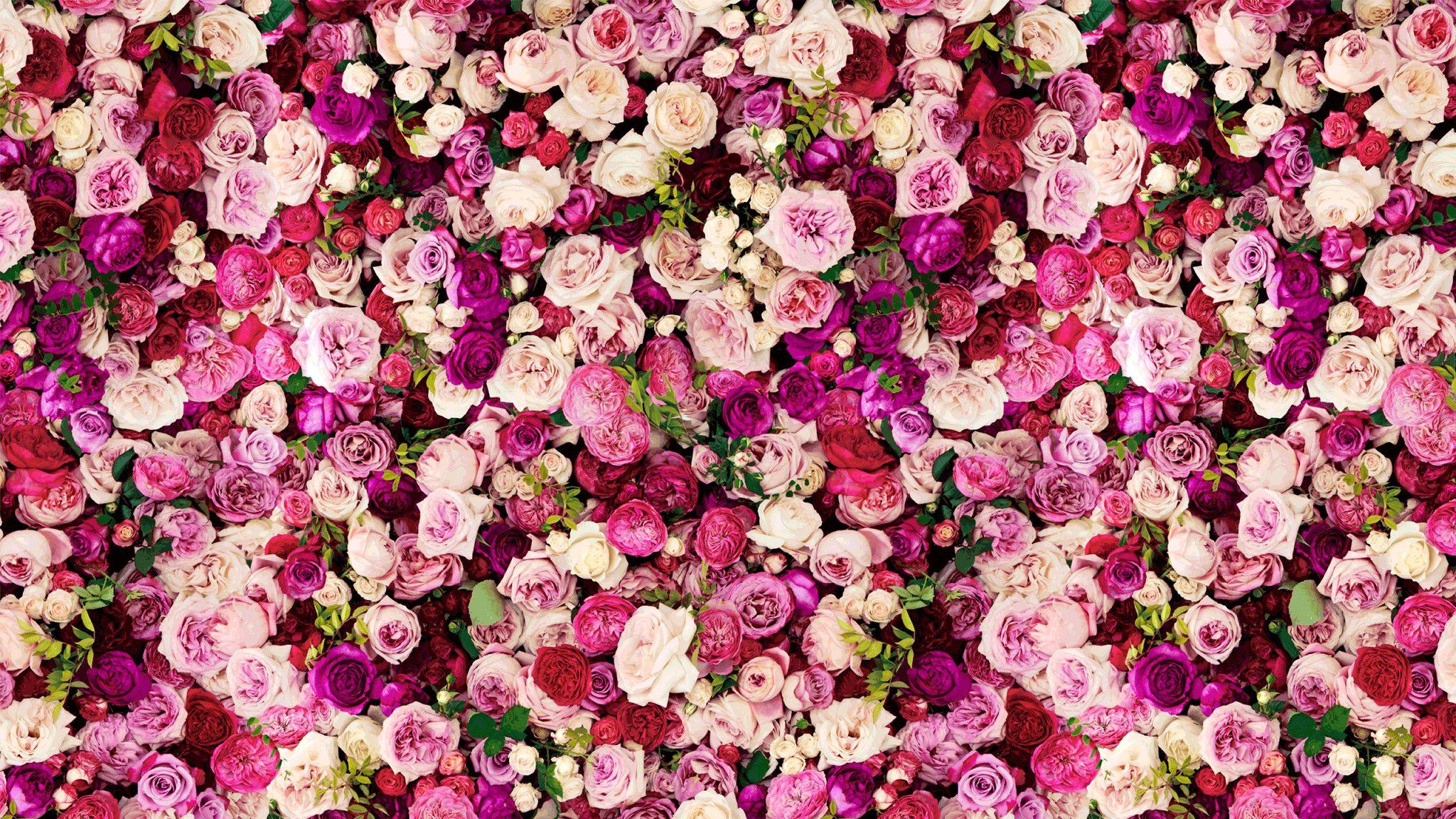 Pink Kate Spade Desktop Wallpapers Top Free Pink Kate Spade Desktop