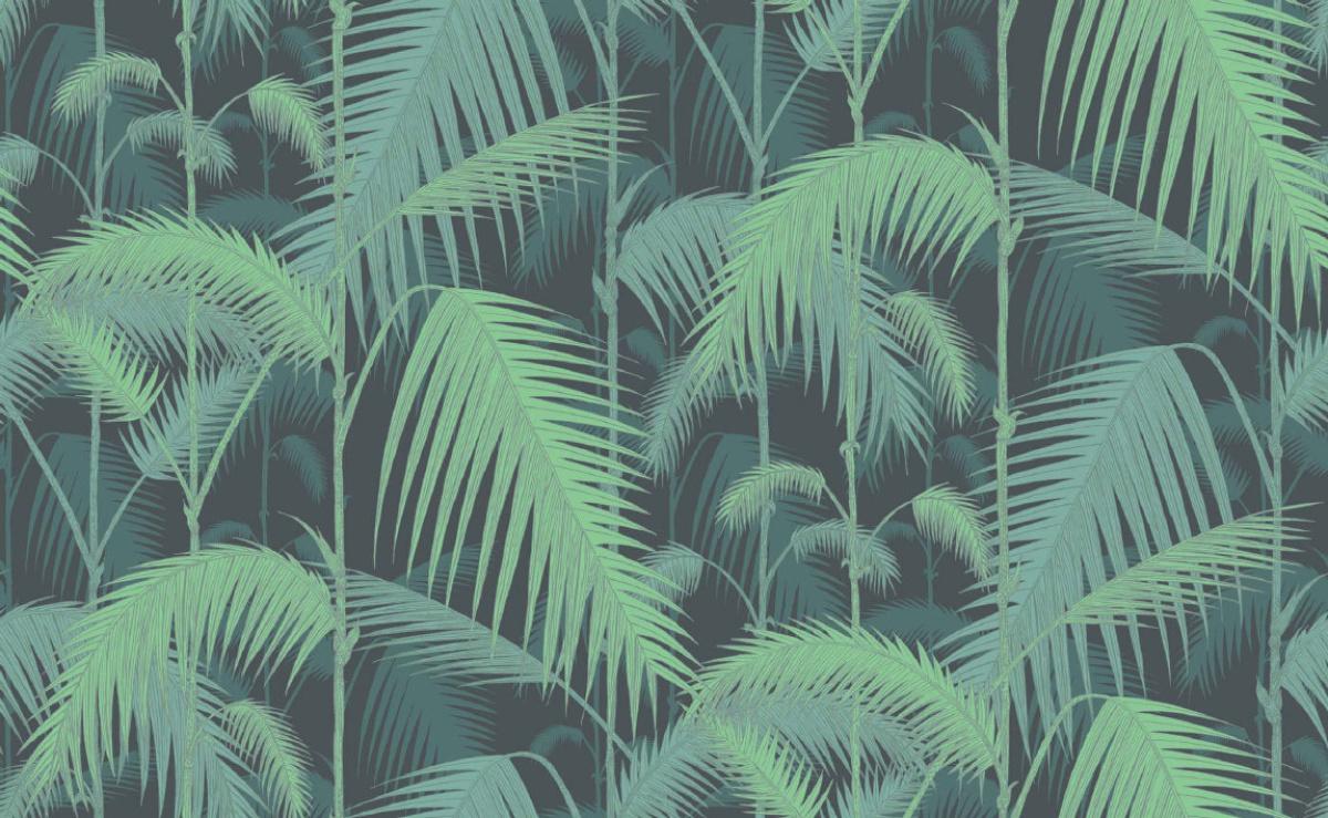 Jungle Print Wallpapers Top Free Jungle Print Backgrounds