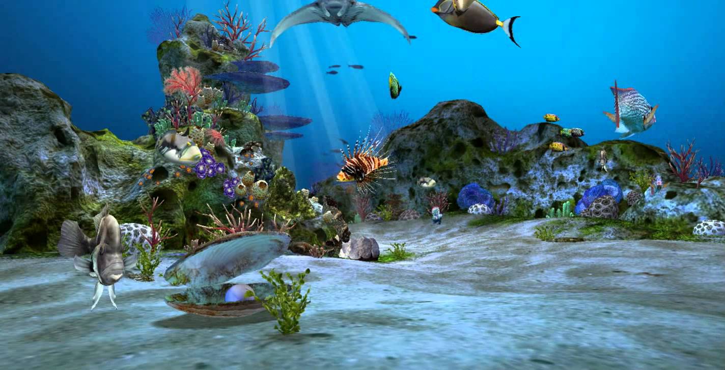 Live Aquarium Wallpapers Top Free Live Aquarium Backgrounds