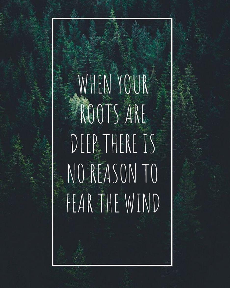 Aesthetic Vibes Aesthetic Chill Quotes Largest Wallpaper Portal