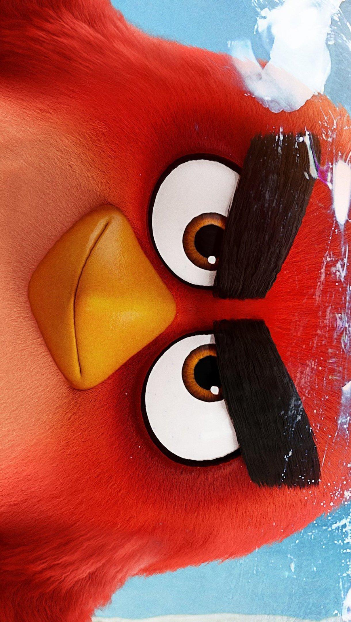 Angry Birds Red Wallpapers Top Free Angry Birds Red Backgrounds