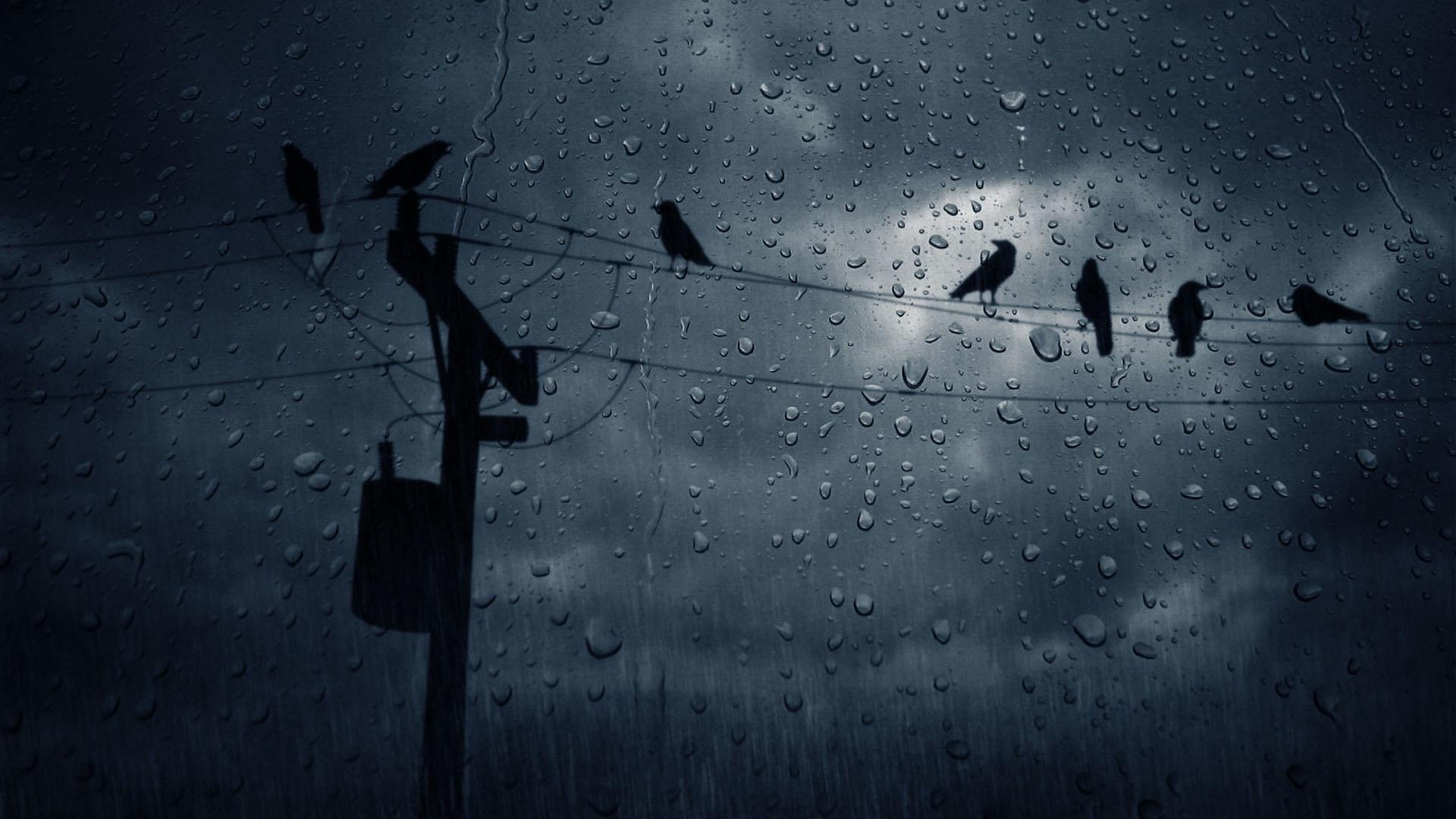 Dark Rain Wallpapers Top Free Dark Rain Backgrounds WallpaperAccess