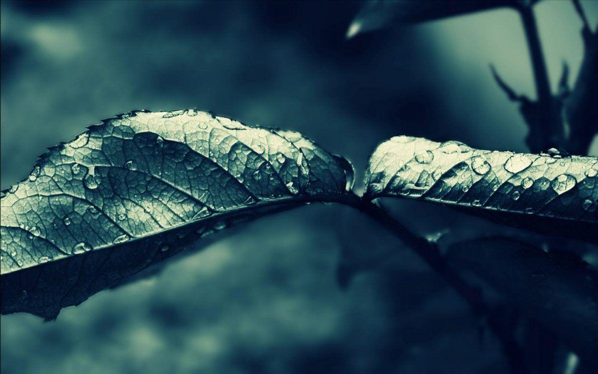 Dark Rain Wallpapers Top Free Dark Rain Backgrounds WallpaperAccess