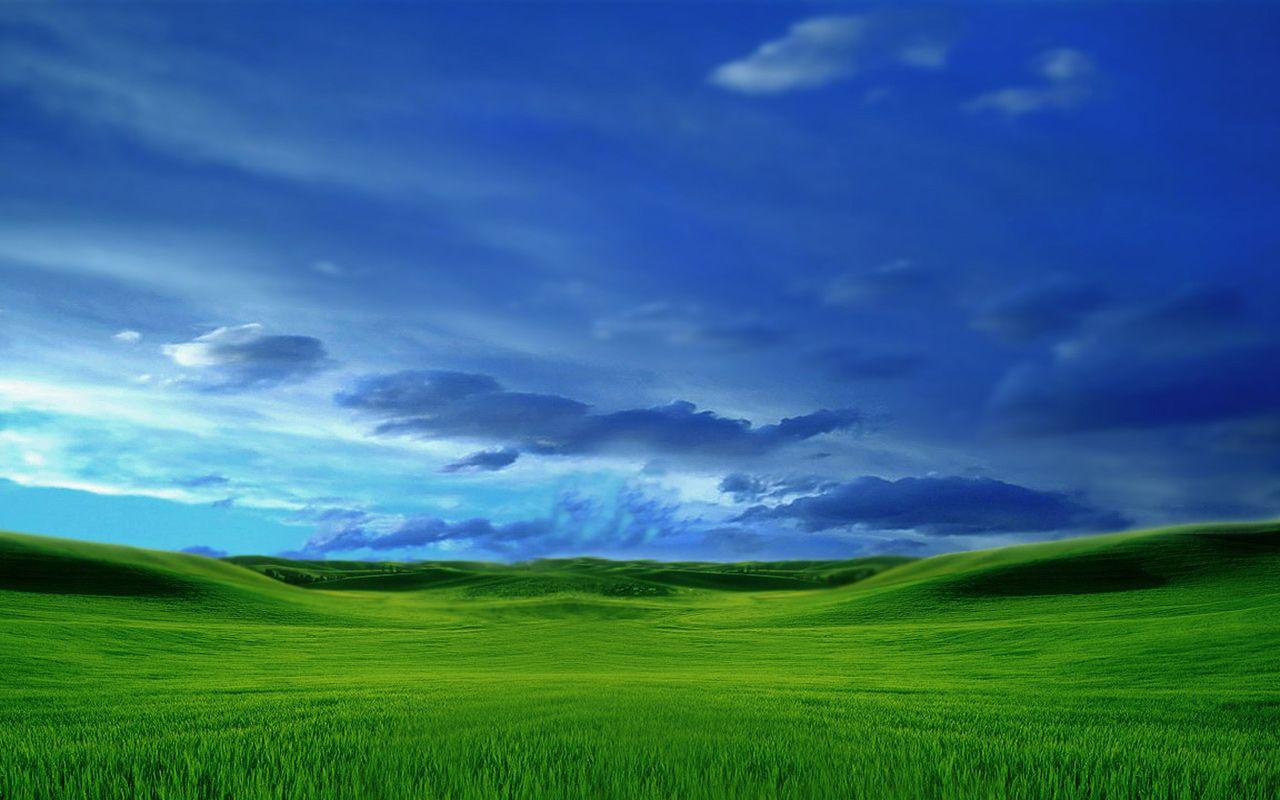 Green Grass and Blue Sky Wallpapers Top Free Green Grass and Blue Sky