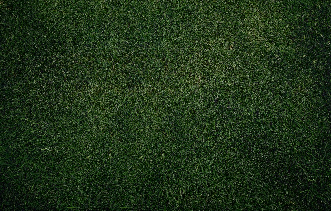 Grass Texture Wallpapers Top Free Grass Texture Backgrounds