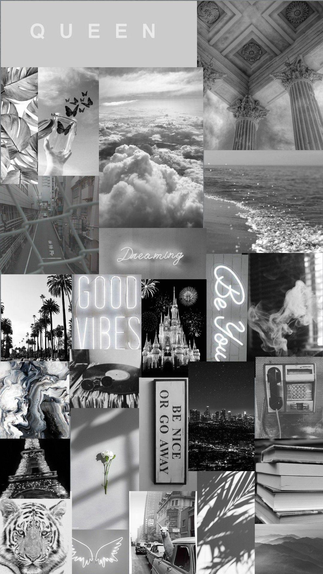 Grey College Wallpapers Top Free Grey College Backgrounds