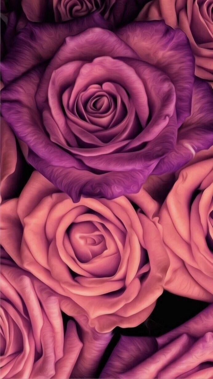 Rose Gold Flowers Wallpapers Top Free Rose Gold Flowers Backgrounds