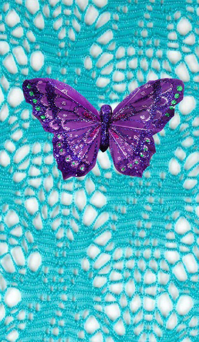 Turquoise Purple Butterfly Wallpapers Top Free Turquoise Purple