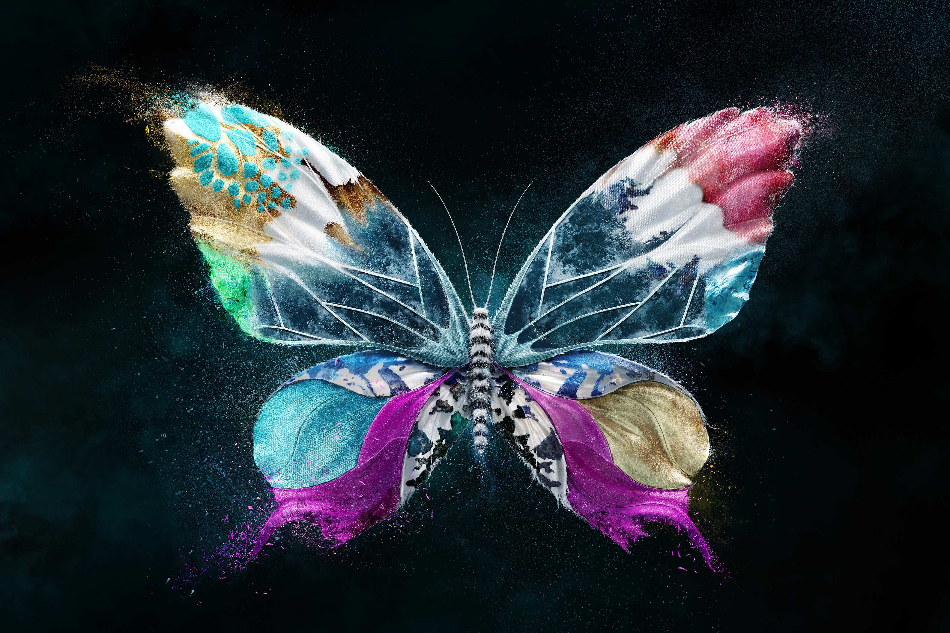 Turquoise Purple Butterfly Wallpapers Top Free Turquoise Purple