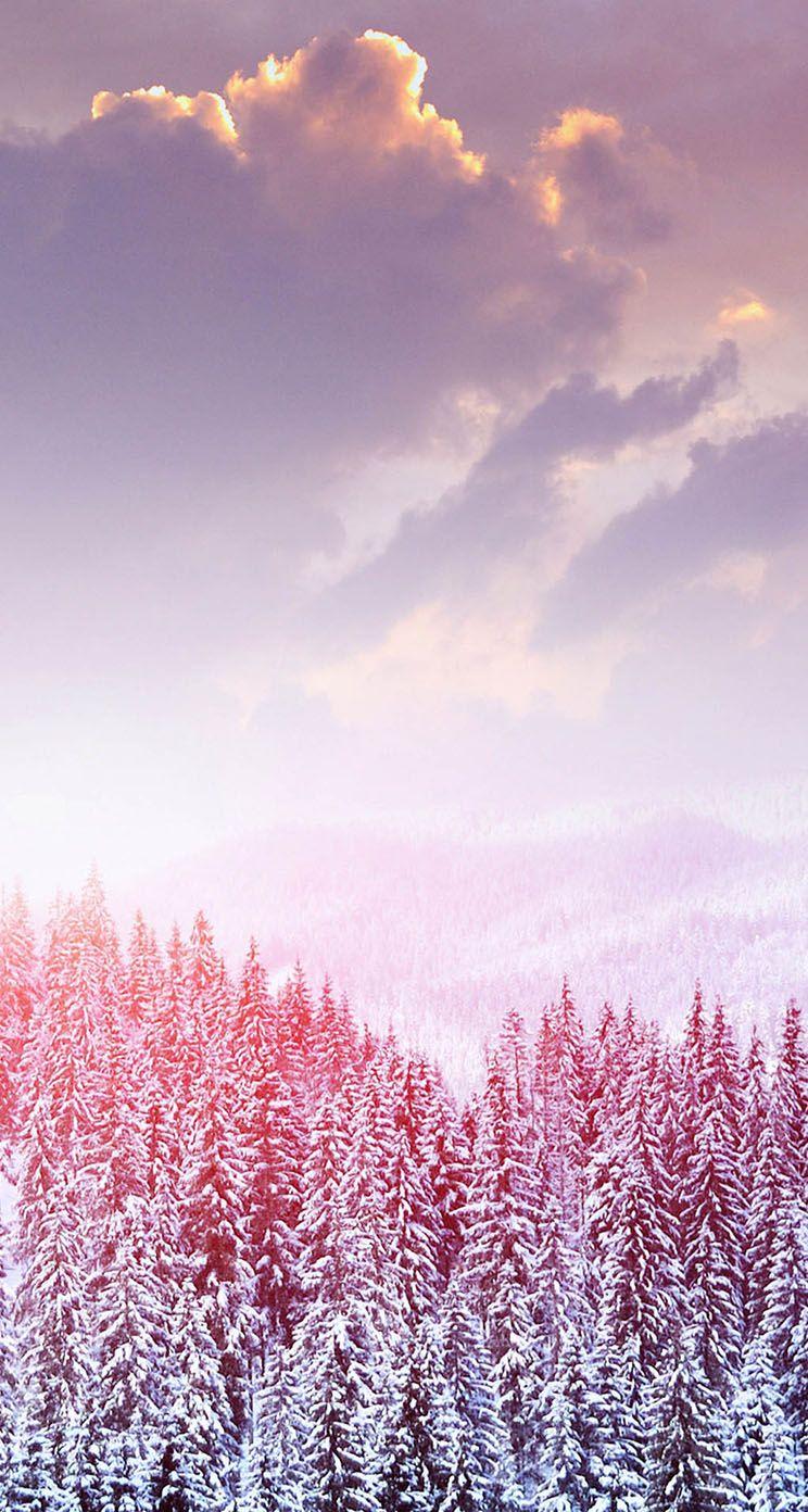 Pink Winter Wallpapers Top Free Pink Winter Backgrounds WallpaperAccess