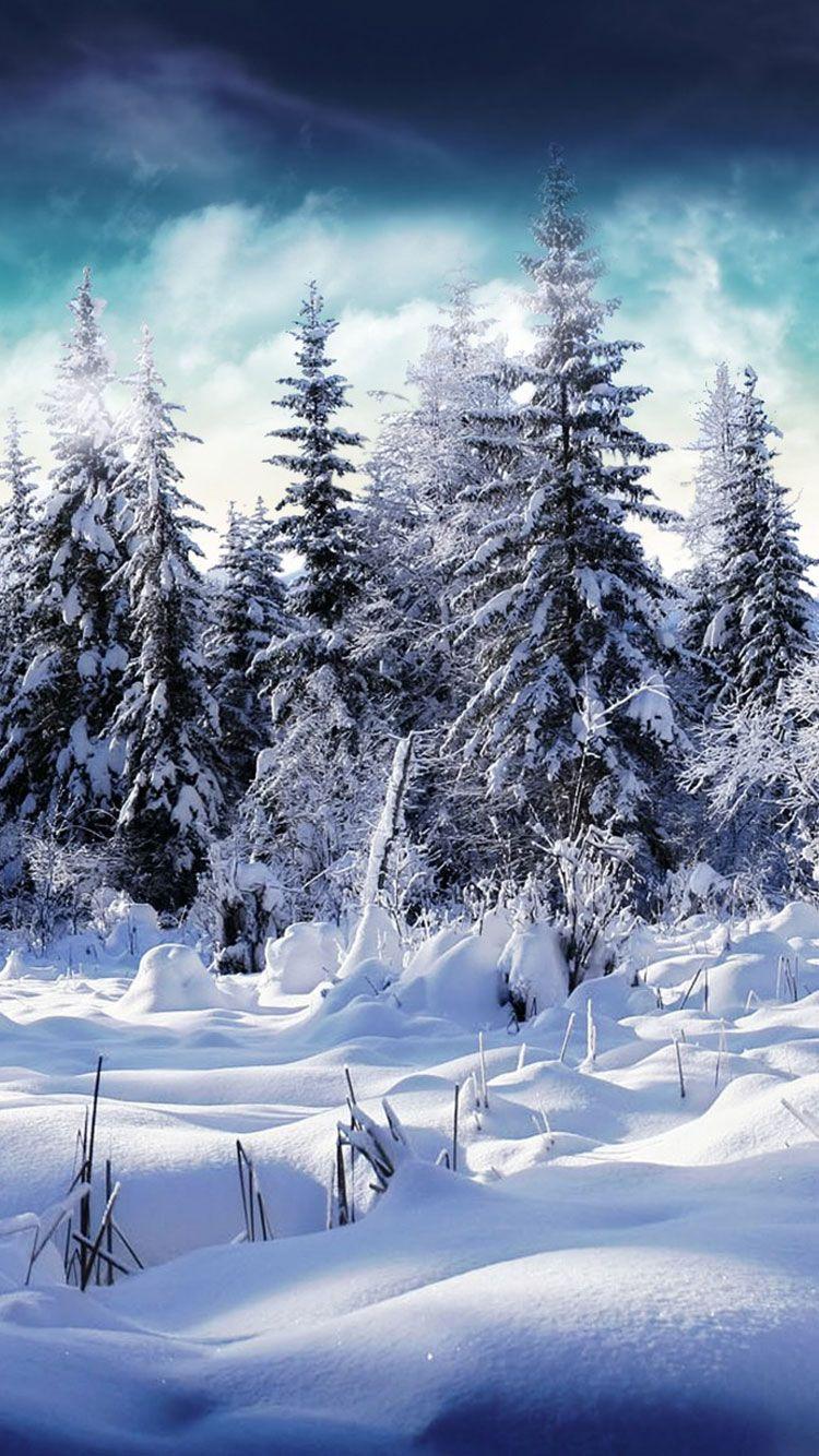 Winter iPhone Wallpapers Top Free Winter iPhone Backgrounds WallpaperAccess